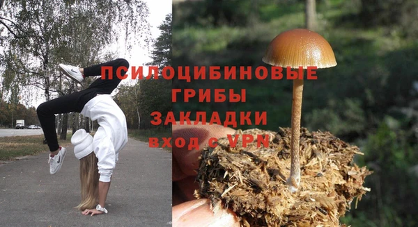 трава Горнозаводск