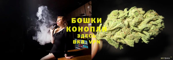 трава Горнозаводск