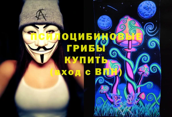 дмт Киреевск