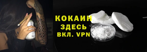 мяу мяу мука Горняк