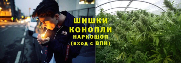 трава Горнозаводск