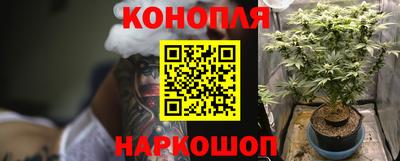прущие крисы Коммунар