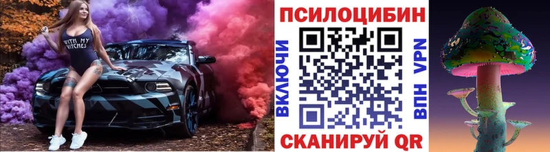 закладки Псков это наркотические препараты Псилоцибиновые грибы GOLDEN TEACHER
