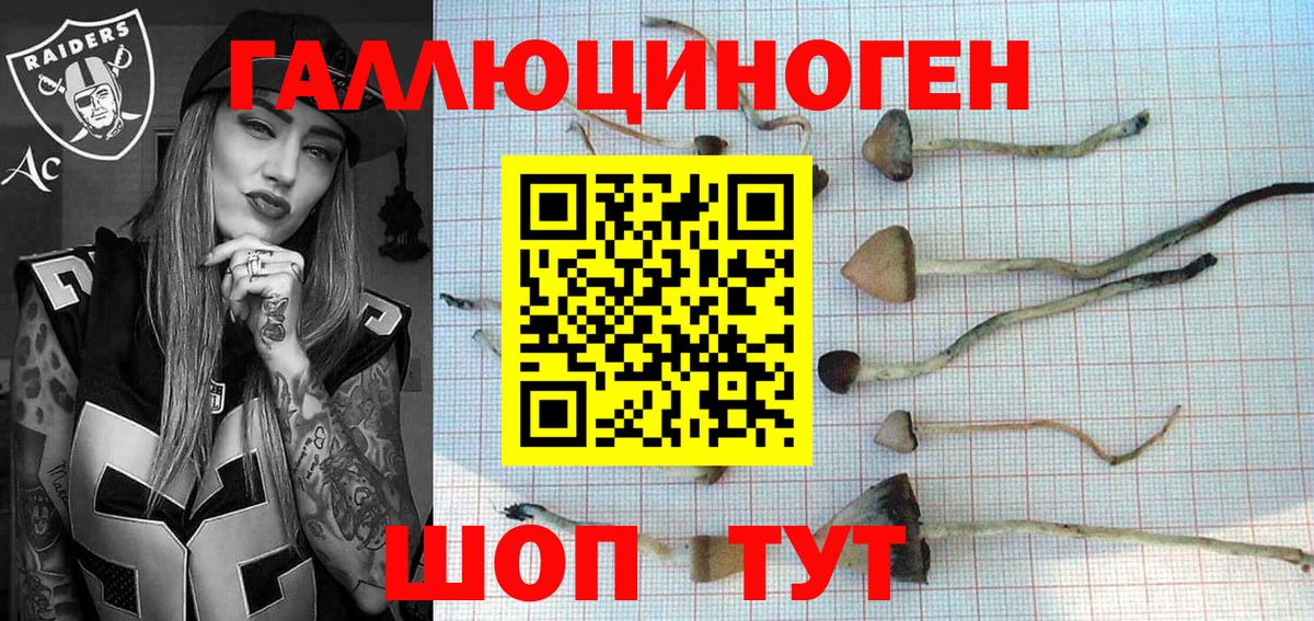 Псков  Псилоцибиновые грибы Magic Shrooms  Вход с VPN 