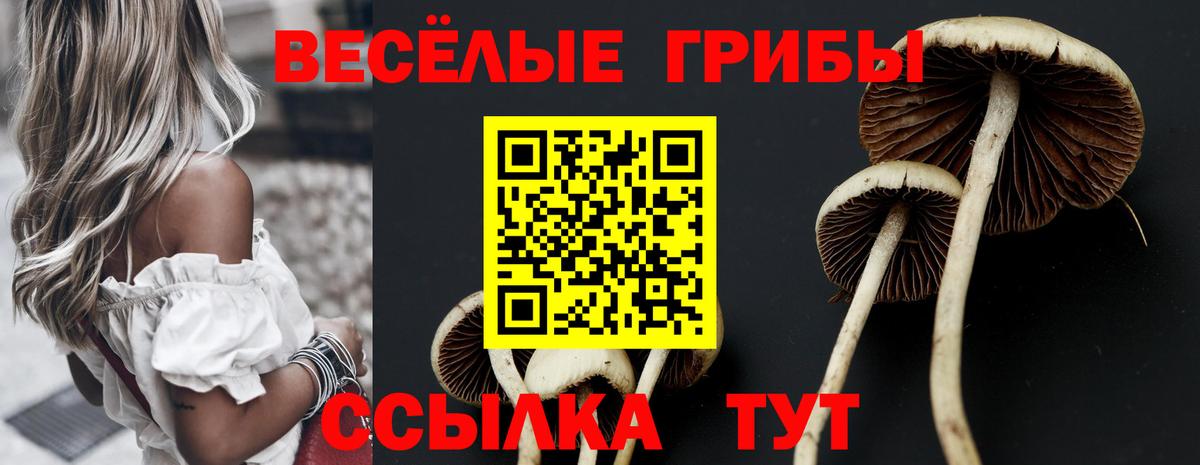 Галлюциногенные грибы Cubensis Псков