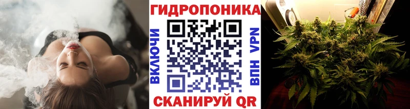 мега зеркало  купить наркоту  Псков  Конопля AK-47 